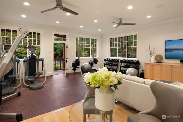 living room with ceiling fan, crown molding, and dark wood-type flooring