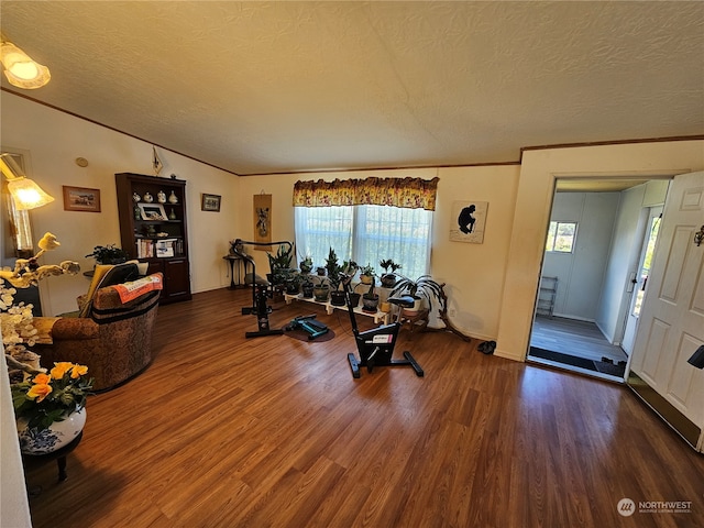 exercise room with ornamental molding, a textured ceiling, and dark wood-type flooring