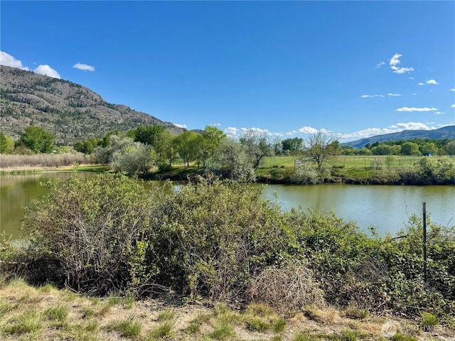 12 Moonlight Dr, Oroville, WA 98844 - water view featuring a mountain backdrop