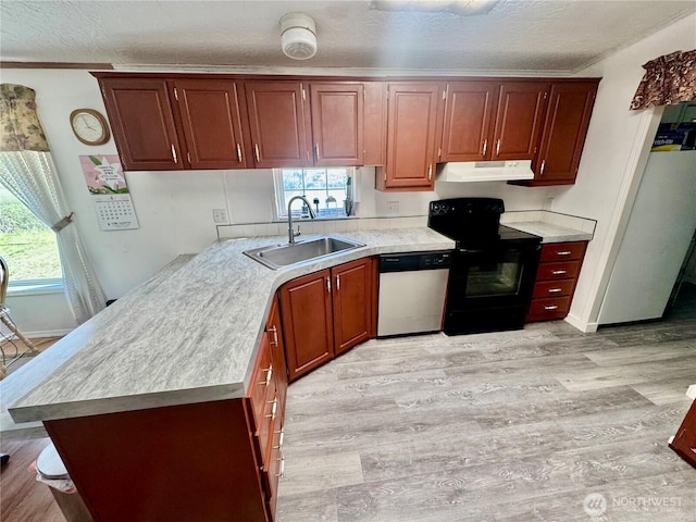 12 Moonlight Dr, Oroville, WA 98844 - kitchen with stainless steel dishwasher, a sink, black range with electric stovetop, under cabinet range hood, and light countertops