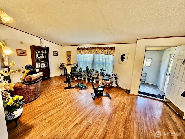 12 Moonlight Dr, Oroville, WA 98844 - workout room featuring a textured ceiling, crown molding, wood finished floors, and vaulted ceiling