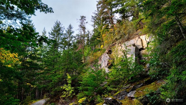 0NHN Oyster Creek Ln, Bow, WA 98233