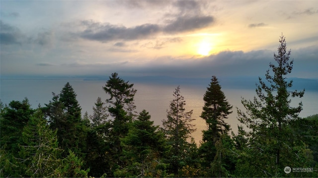 0NHN Oyster Creek Ln, Bow, WA 98233