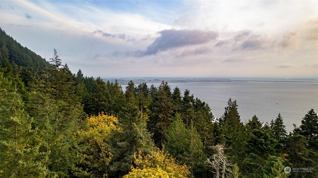 0NHN Oyster Creek Ln, Bow, WA 98233