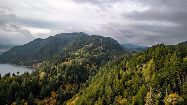 0NHN Oyster Creek Ln, Bow, WA 98233