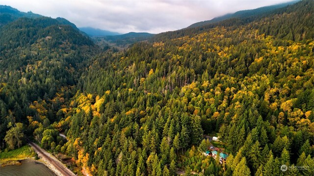 0NHN Oyster Creek Ln, Bow, WA 98233
