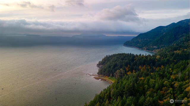 0NHN Oyster Creek Ln, Bow, WA 98233