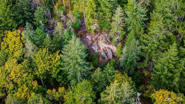 0NHN Oyster Creek Ln, Bow, WA 98233