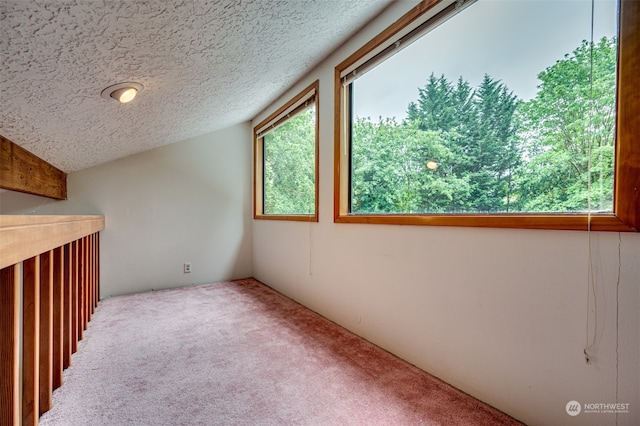 interior space featuring lofted ceiling, a textured ceiling, and carpet floors