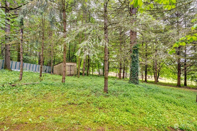 view of yard featuring a storage shed