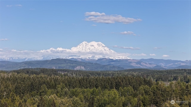 view of mountain feature