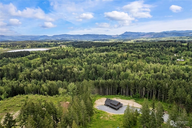 drone / aerial view featuring a mountain view