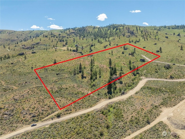 Listing photo 2 for 0PARCELC Mcneil Canyon Rd, Orondo WA 98843