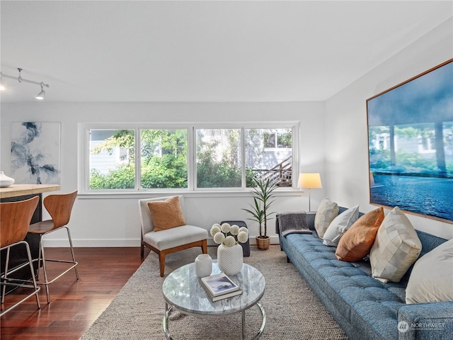 living room featuring plenty of natural light and dark wood-type flooring