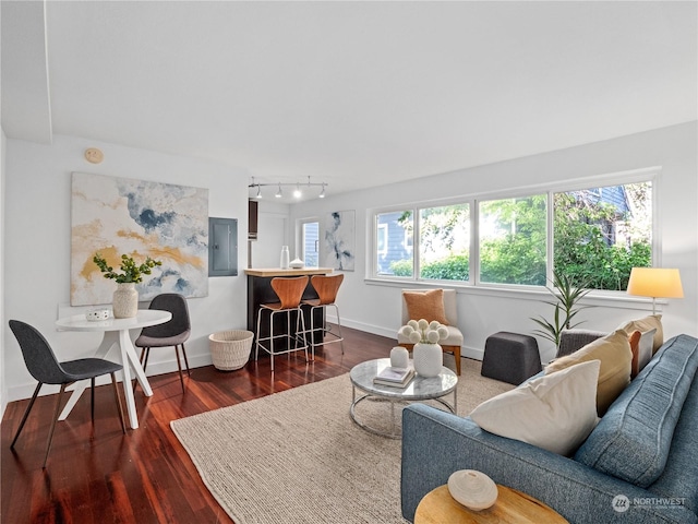 living room featuring dark hardwood / wood-style flooring and electric panel