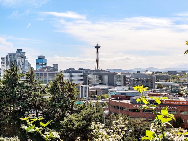 city view featuring a mountain view