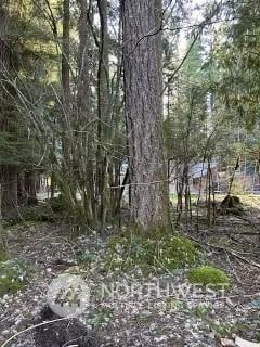 Listing photo 3 for 58610 Lumpy Ln E, Greenwater WA 98022