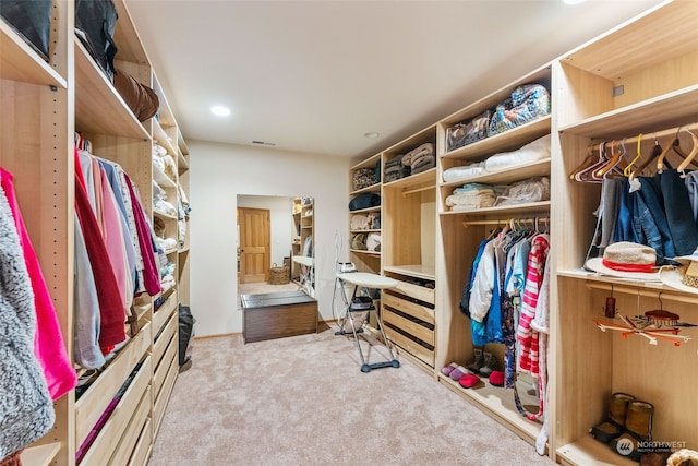 spacious closet featuring visible vents and carpet floors