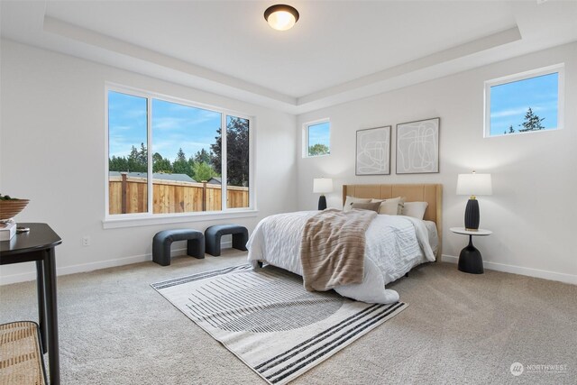 15201 106th Ave E, Puyallup, WA 98374 - photo 11