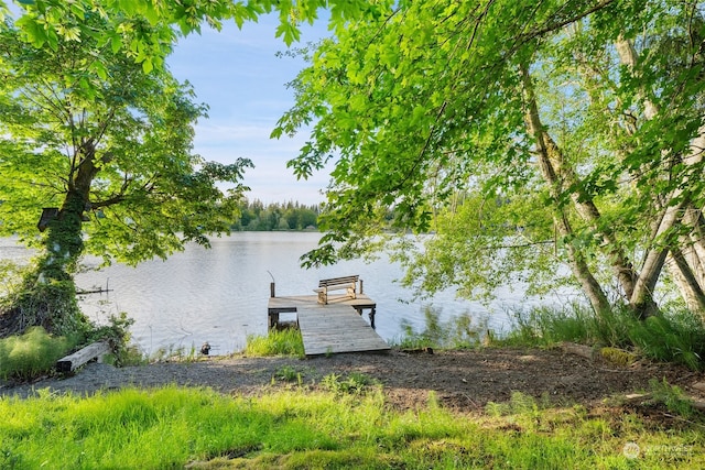 dock area with a water view