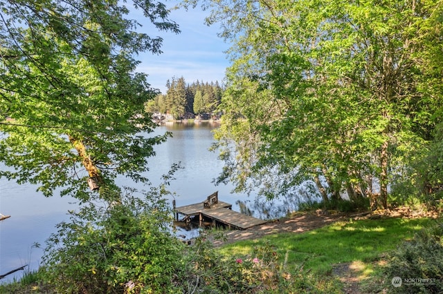 dock area featuring a water view