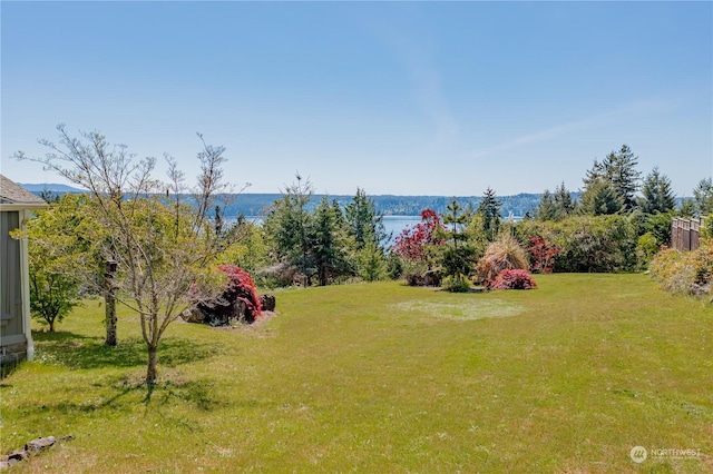 view of yard with a water view