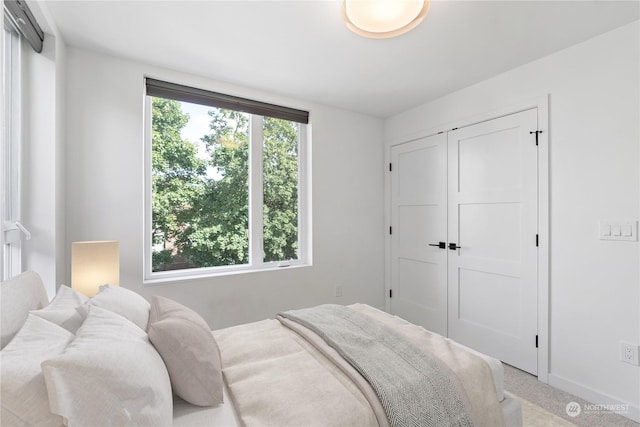 bedroom with multiple windows, carpet floors, and a closet