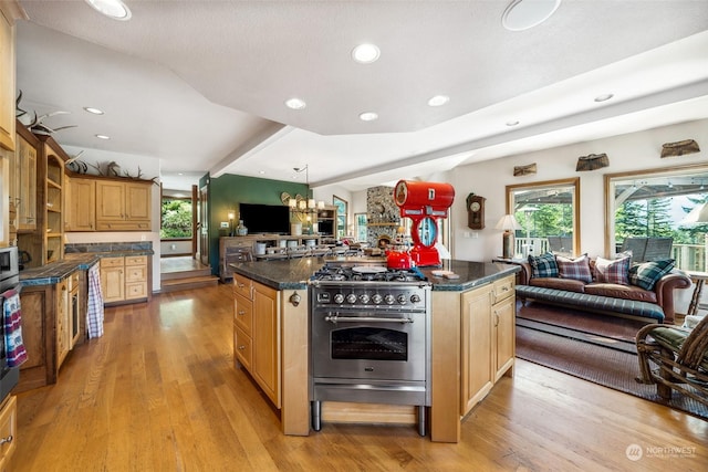 132 Hellem Dr, Packwood, WA 98361 - kitchen with appliances with stainless steel finishes, open floor plan, plenty of natural light, recessed lighting, and light wood-type flooring