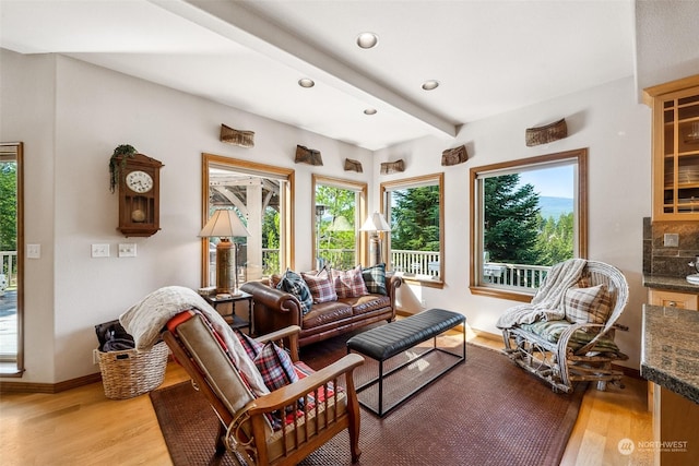132 Hellem Dr, Packwood, WA 98361 - living area with light wood-style flooring, healthy amount of natural light, recessed lighting, and beam ceiling