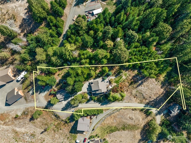 132 Hellem Dr, Packwood, WA 98361 - aerial view of property and surrounding area featuring property parcel outlined