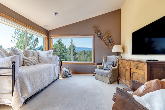 132 Hellem Dr, Packwood, WA 98361 - living area with vaulted ceiling and carpet floors