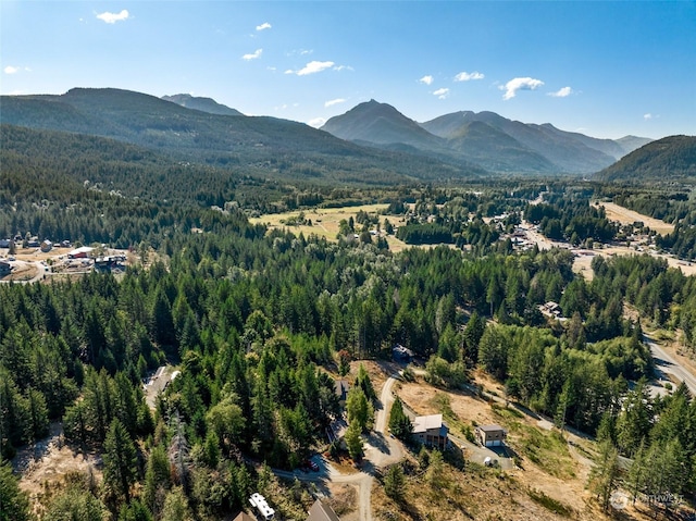 132 Hellem Dr, Packwood, WA 98361 - aerial view of property's location with mountains