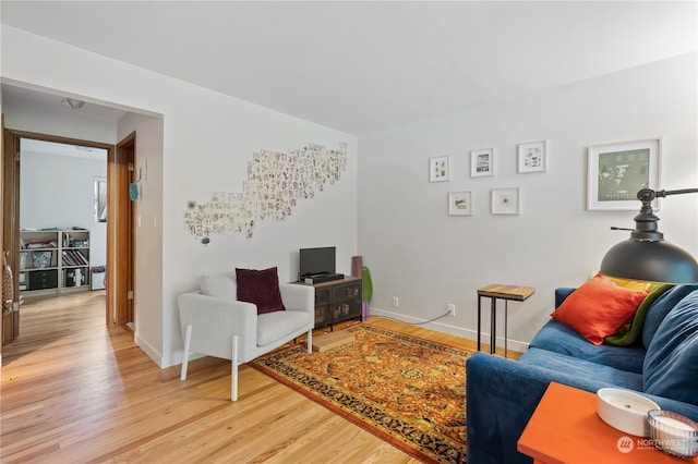 living room featuring wood-type flooring