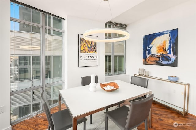 dining space featuring dark wood-type flooring