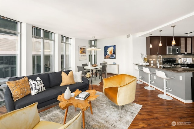 living room with dark hardwood / wood-style floors