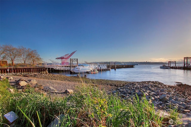 dock area featuring a water view