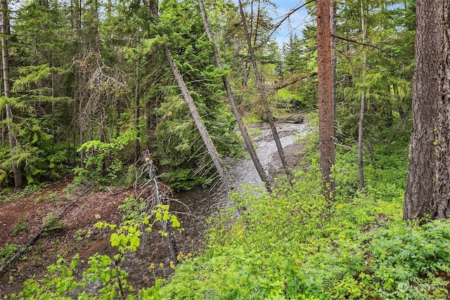81 Hawthorn Ln, Easton, WA 98925 - view of nature