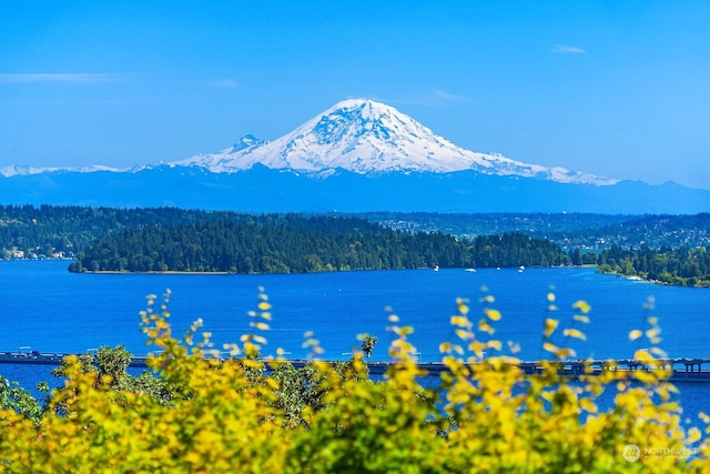 view of water feature featuring a mountain view