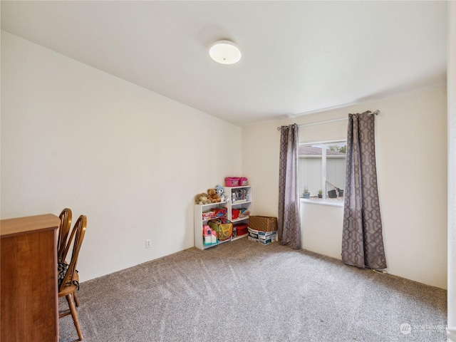 playroom with carpet floors