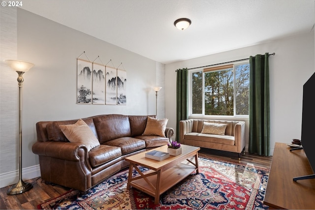 living room with wood-type flooring