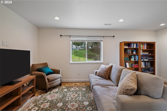 living room featuring a textured ceiling