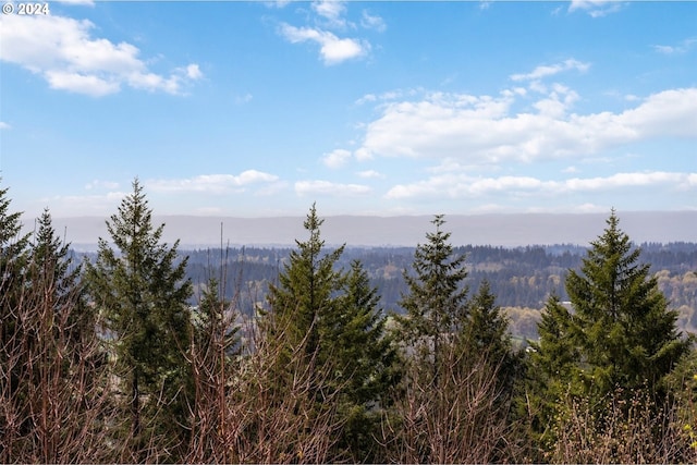 view of mountain feature