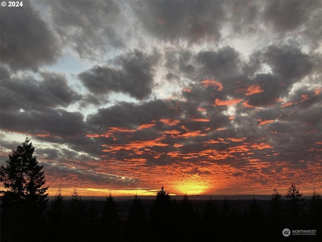 view of nature at dusk