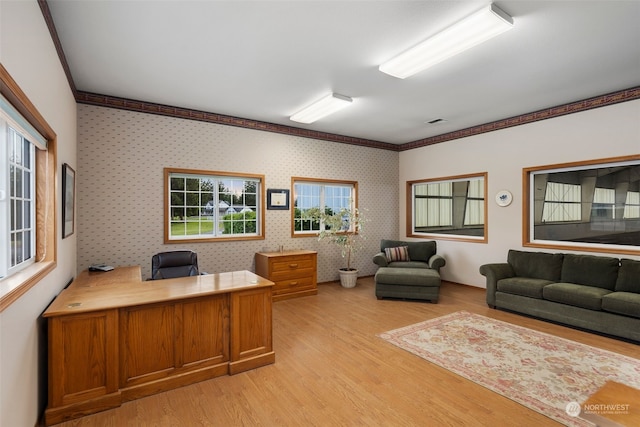 home office featuring light hardwood / wood-style flooring and ornamental molding