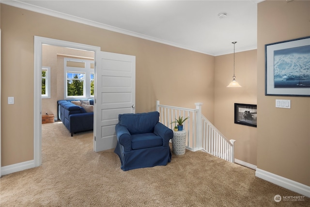 sitting room featuring carpet floors and crown molding