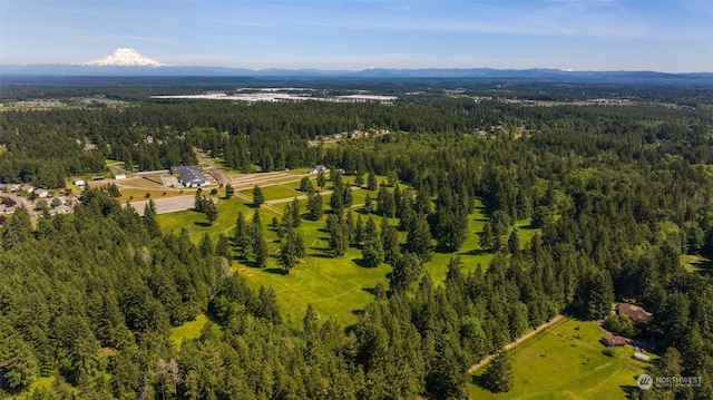 birds eye view of property with a mountain view