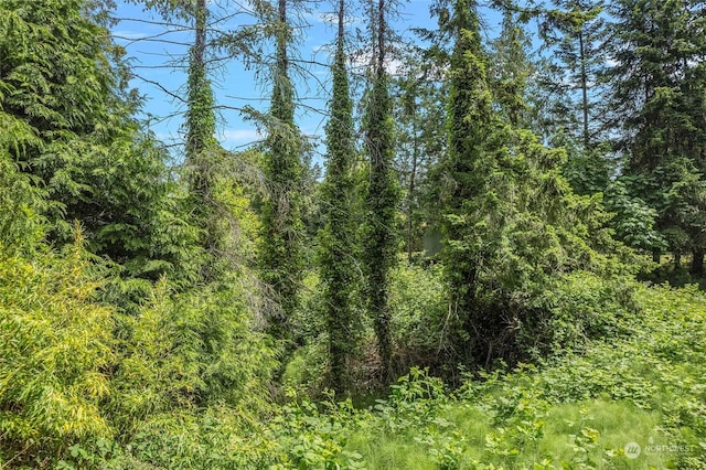 8142 Comox Loop, Blaine, WA 98230
