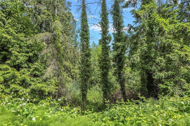 8142 Comox Loop, Blaine, WA 98230