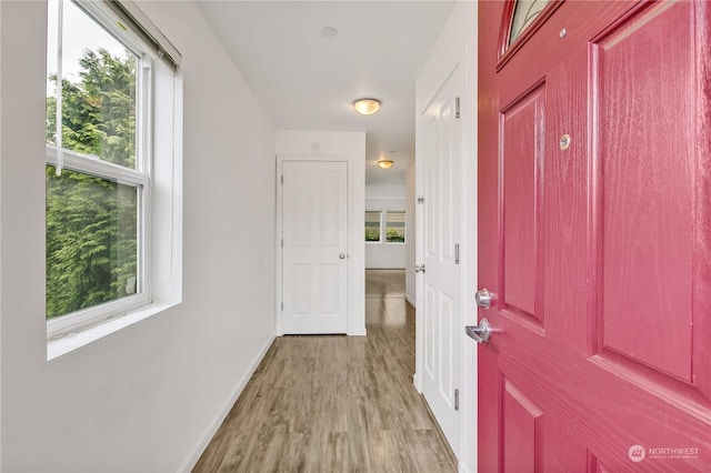 hall with plenty of natural light and light wood-type flooring