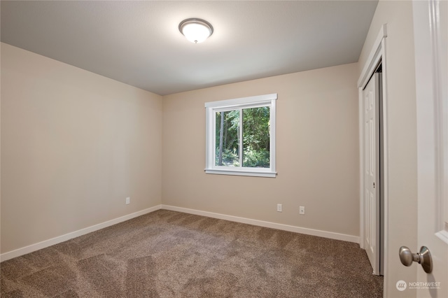 interior space with carpet flooring and a closet